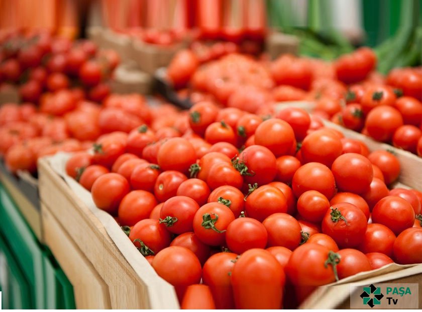 Rusiya Azərbaycanın daha 7 müəssisəsindən pomidor idxalına icazə verib