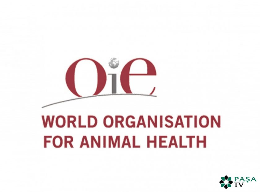 Mərakeşdən heyvandarlıq, İtaliyadan quşçuluq məhsullarının Azərbaycana idxalına məhdudiyyət qoyulub