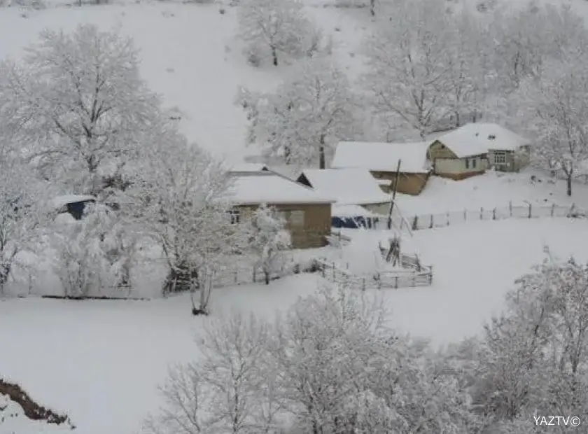 Qaxın Sarıbaş kəndində qar örtüyünün hündürlüyü 12 santimetrə çatıb