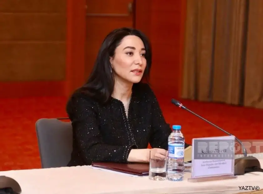 Ombudsman Psixi sağlamlıq sahəsində Milli Strategiyaya yenidən baxılmasını təklif edir