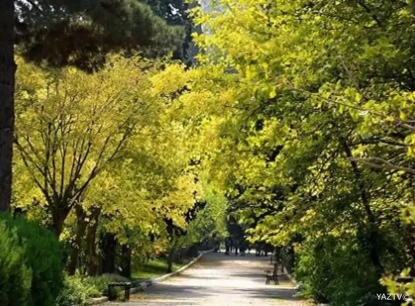 Mərkəzi Nəbatət Bağı bu il istifadəyə veriləcək