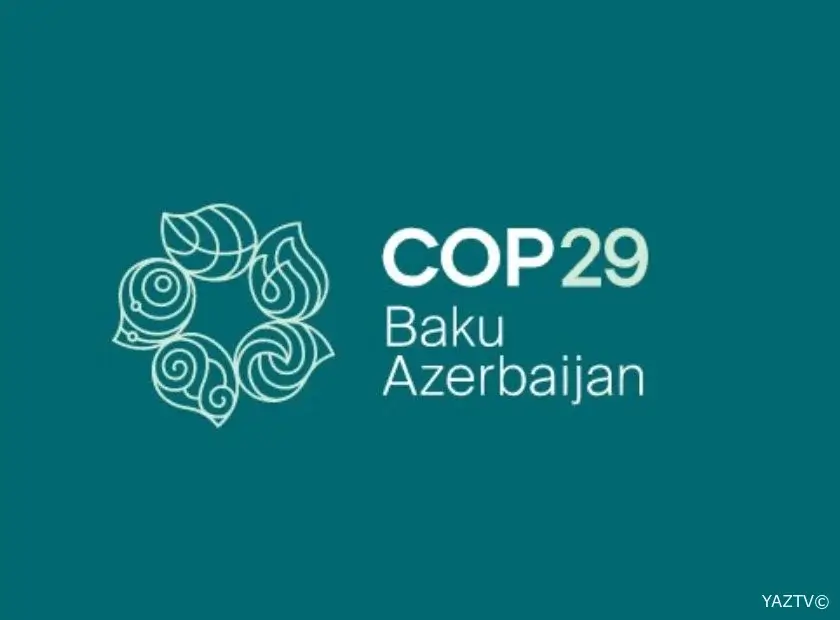 COP29 könüllüləri üçün qeydiyyat başlayıb