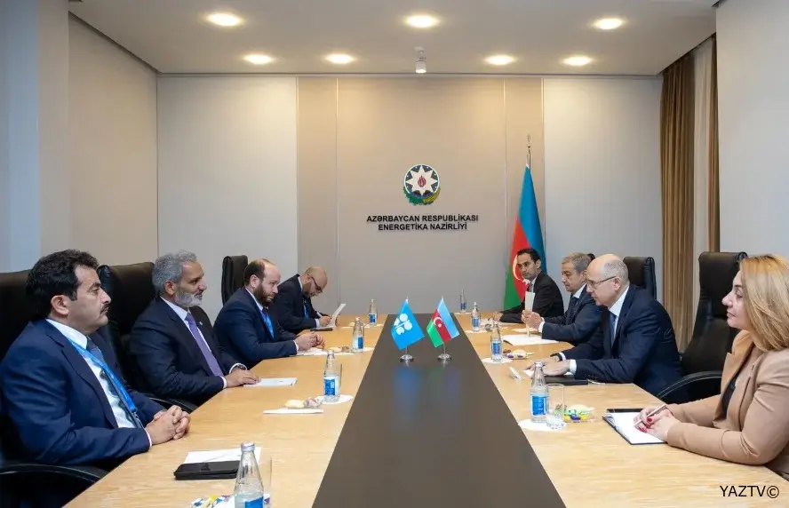 Energetika naziri OPEC-in Baş katibi ilə görüşüb