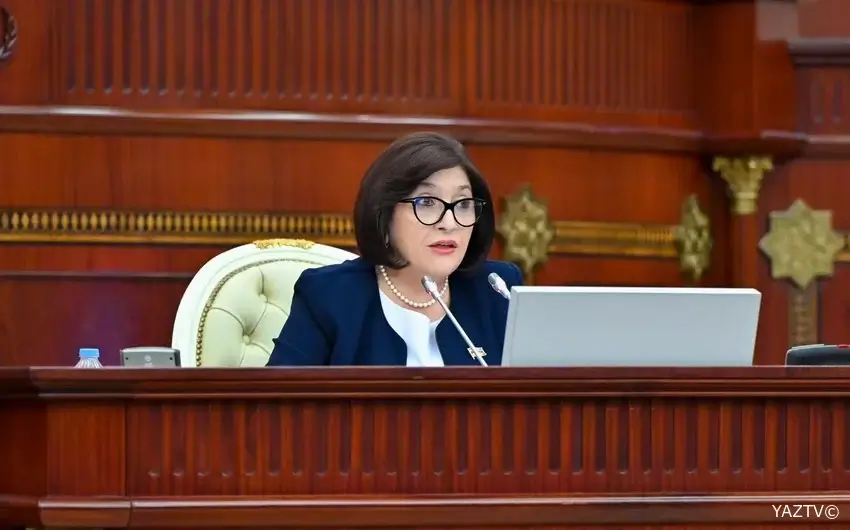 Sahibə Qafarova: COP29-un iqlim dəyişmələri probleminin həllinə verdiyi töhfələr hələ çox danışılacaq