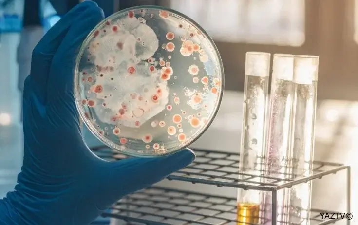 Orqanizminizdəki mikroblardan xəbəriniz var?