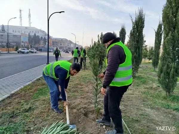Gəncədə növbəti ağacəkmə və iməcilik aksiyaları baş tutub