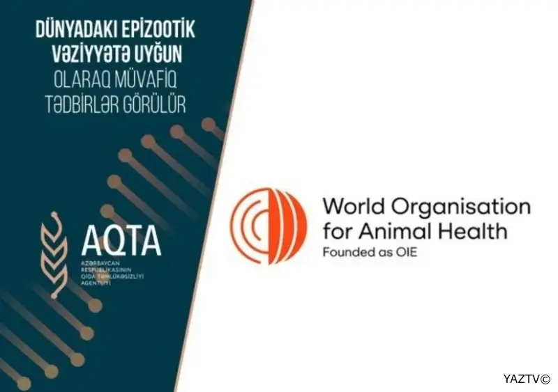 Bəzi regionlardan ət məhsullarının Azərbaycana idxalına məhdudiyyət qoyulub