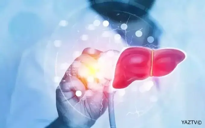 Qaraciyər üçün ən zərərli qidalar