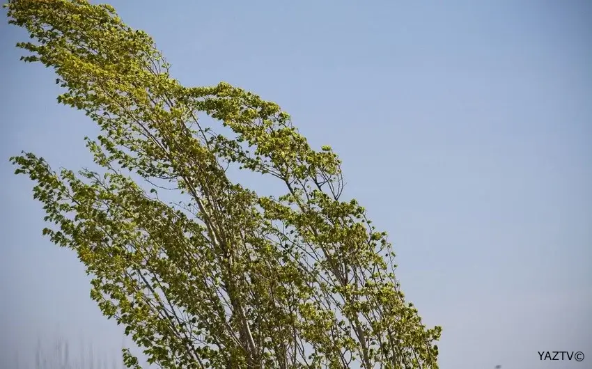 Bakıda küləyin sürəti saniyədə 21 metrə çatıb - FAKTİKİ HAVA