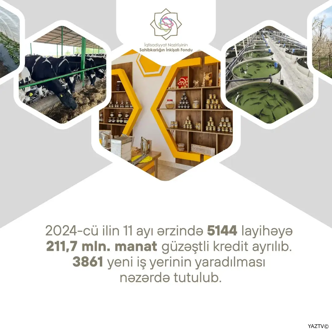 5144 layihə üzrə 212 milyon manata yaxın güzəştli kredit verilib
