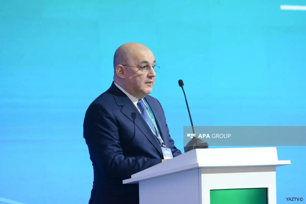 Şahin Bağırov: Gömrük dəyərinin hesablanması beynəlxalq praktikaya əsaslanır