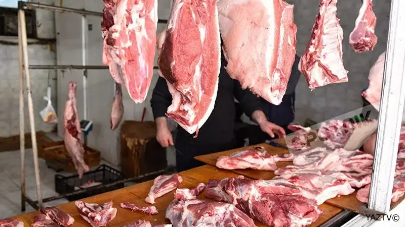 Qoyun əti alaq yoxsa quzu əti? - ARAŞDIRMA