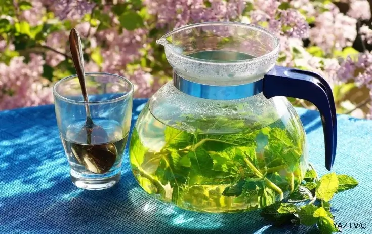 Orqanizminizi təmizləyin