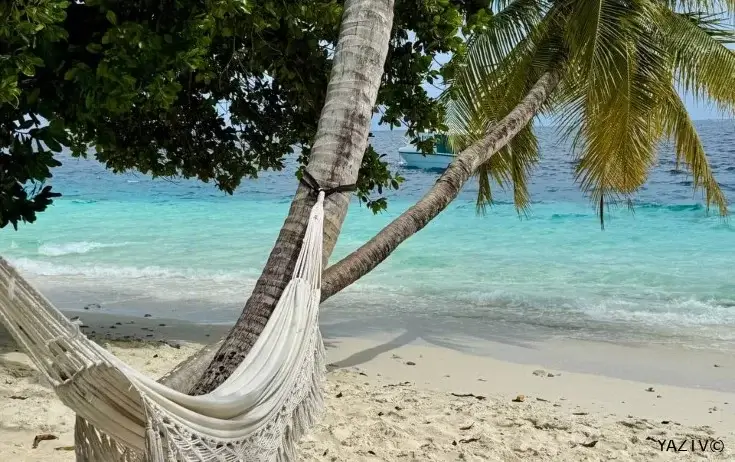 Səyahət infeksiyalarından belə qorunun