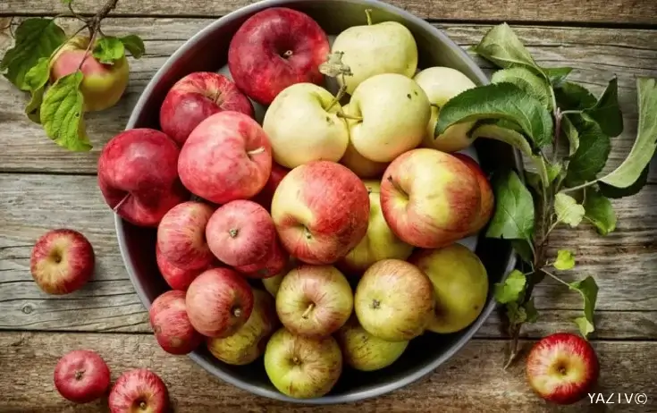 Gündə bir ədəd yeməyiniz bəsdir