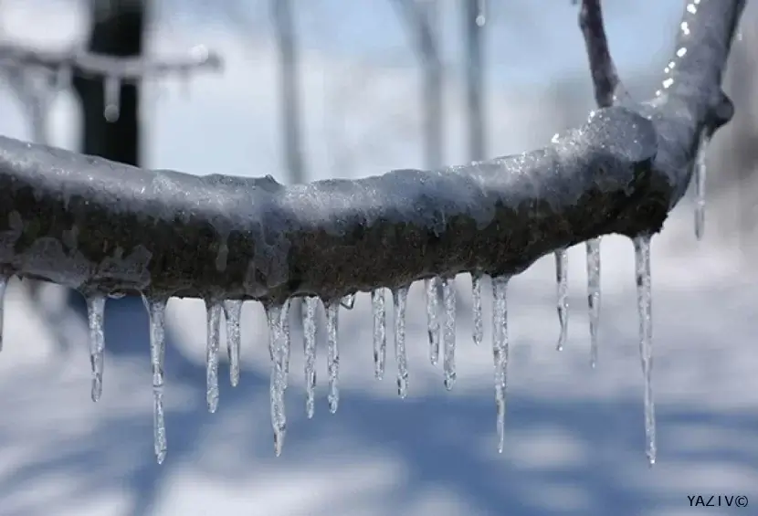 Bakıda 5 dərəcə şaxta gözlənilir: Fevral ayına olan HAVA PROQNOZU