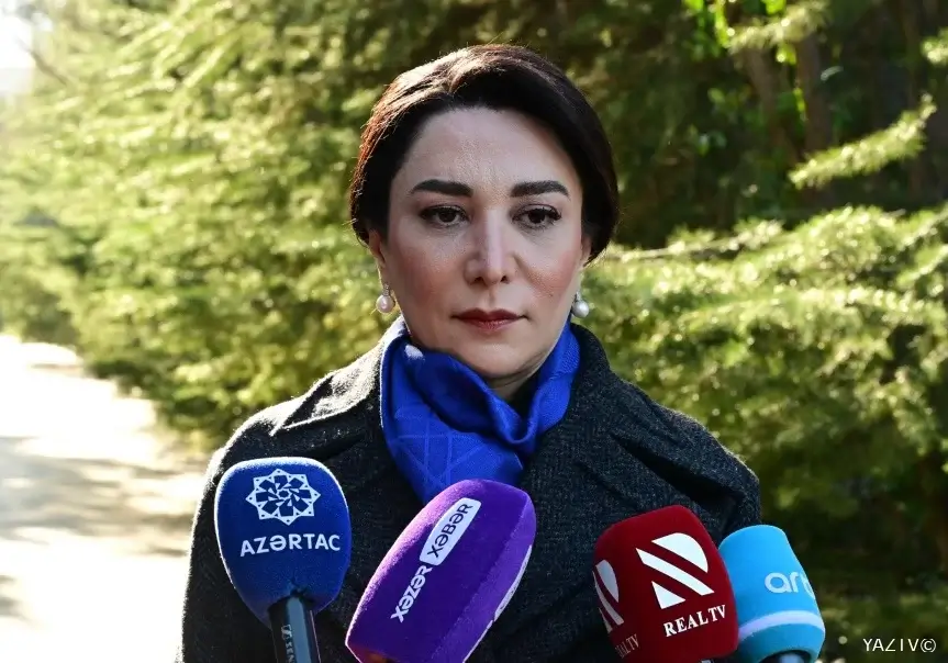 Səbinə Əliyeva: Keçən il ombudsmanın ünvanına 29 min 371 müraciət daxil olub