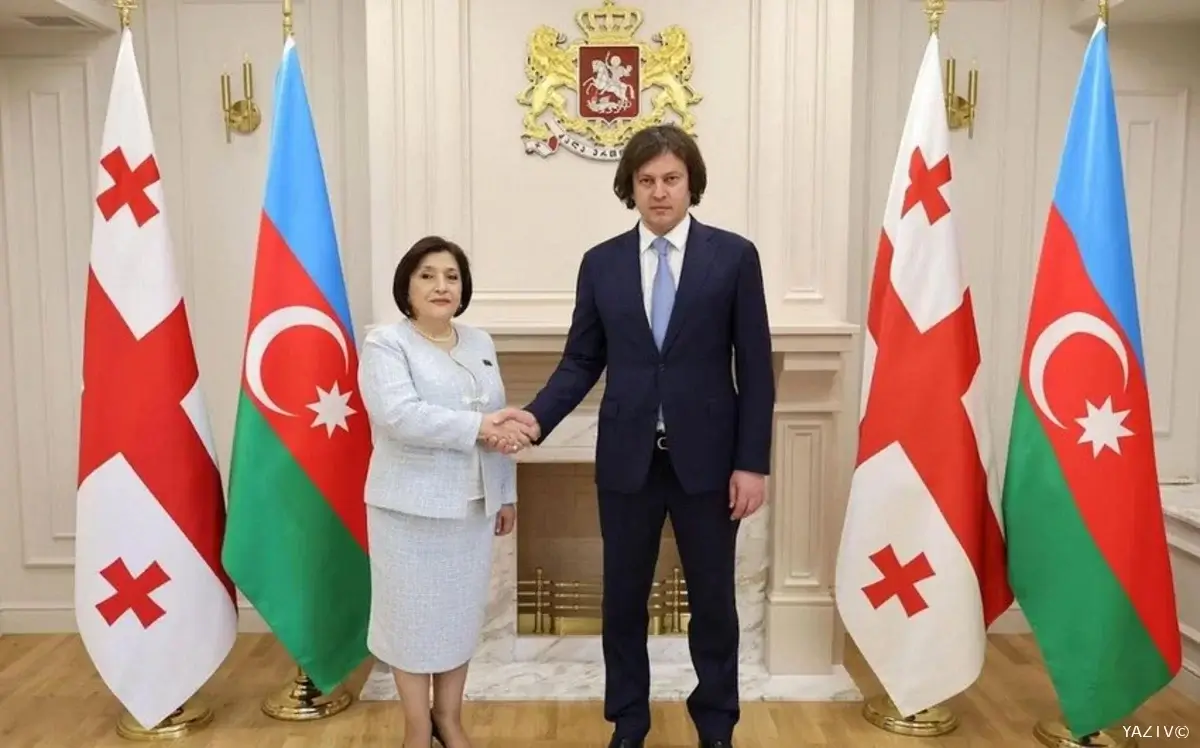 Sahibə Qafarova Gürcüstanın baş naziri ilə görüşüb