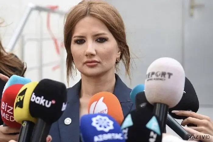 Ülviyyə Zülfiqar: "Aİ-nin Ermənistandakı missiyası "binokl diplomatiyasına" qəsdən davam edir"